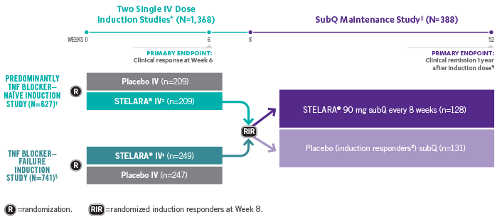 View Study Design: STELARA® (ustekinumab) of two single IV dose induction studies and SubQ Maintenance Study over 52 weeks