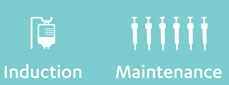 1 IV induction dose and 6 subQ injection maintenance doses for STELARA®