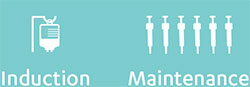 Entyvio® dosing includes 7 subQ doses in a 52 week period after initial IV doses at Weeks 0, 2, and 6 1 IV induction dose and 6 subQ injection maintenance doses for STELARA®