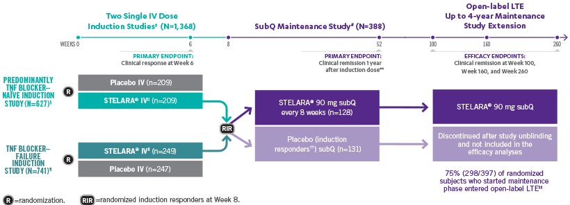 An overview of the study design of clinical trial studies that assessed efficacy and safety of STELARA® and placebo