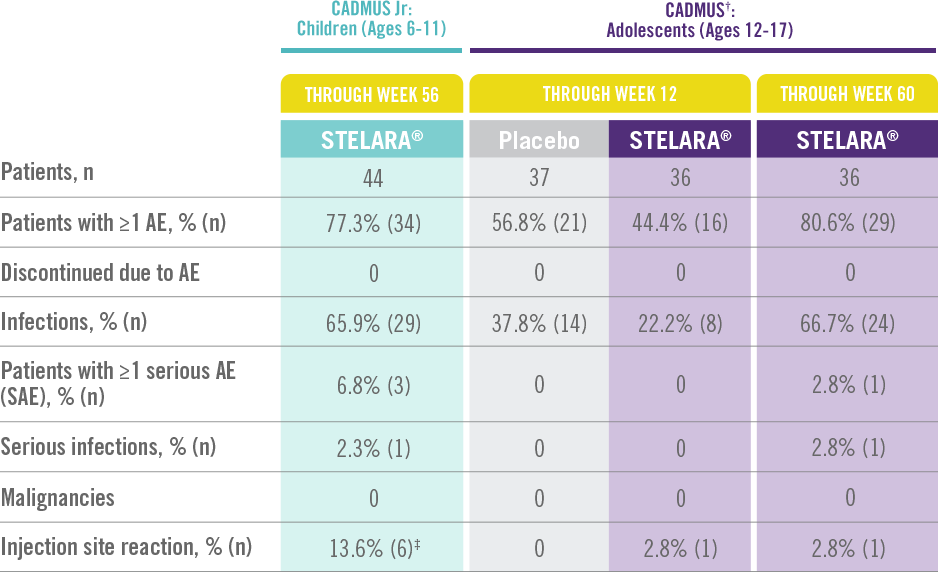 safety Adult Studies