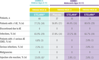 safety Adult Studies
