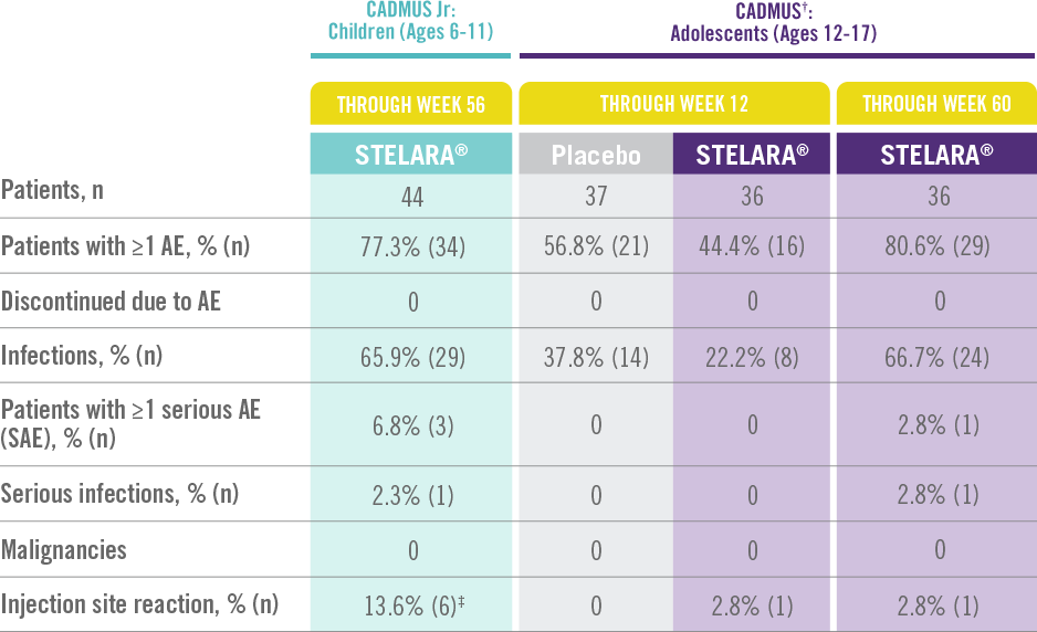 safety Adult Studies