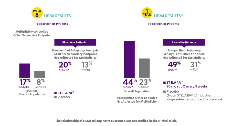 Overview of HEMI results as proportion of patients as percentages at week 8 versus 1 year